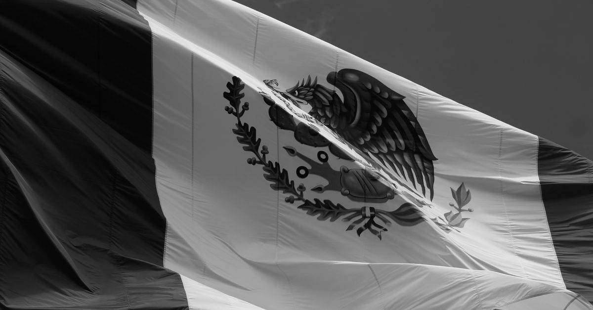 Lluvias de meteoros de 2026: cuándo mirar el cielo y cómo prepararse para observarlas ciencia investigación: Dramatic black and white photo of the Mexican flag waving on a windy day.